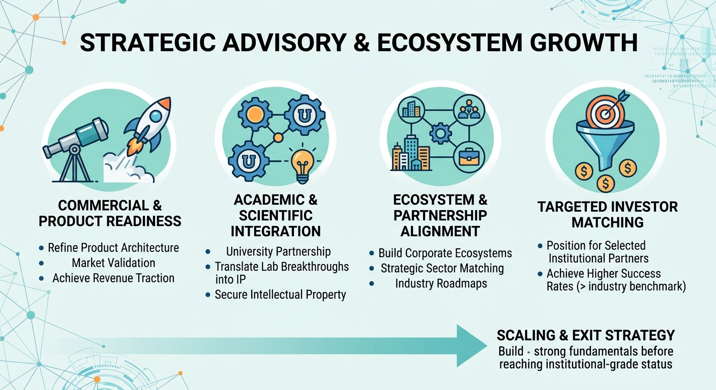 Strategic Advisory Beyond Traditional Venture Capital for Scale-Ups and Research Spin-Outs Luxembourg